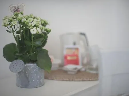 Attico Aurelio לינה וארוחת בוקר